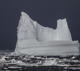 Küresel ısınmanın tehlikeli boyutu: 2100'de tamamen yok olacaklar