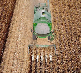 Arpa ve mısır ithalatında tarife kontenjanları artırıldı