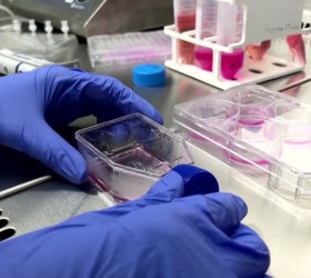 Tıpta devrim yaratacak deney: Mikro robotlar test edildi