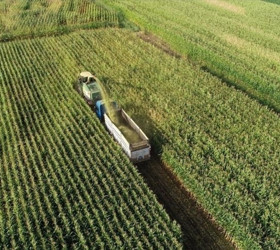 BM Gıda ve Tarım Örgütü: Türkiye'ye 8,1 milyon dolarlık kaynak sağlandı