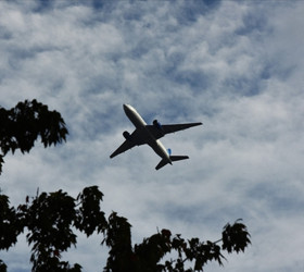 ABD’de uçuşlar normale dönüyor: 40 havalimanındaki kısıtlamalar sona eriyor