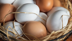 Salmonella alarmı büyüyor: 1,5 milyon koli yumurta geri çağrıldı