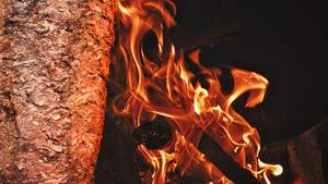 Türk döneri, Alman ‘söner’i mi oldu? Uluslararası Döner Federasyonu yanıtladı