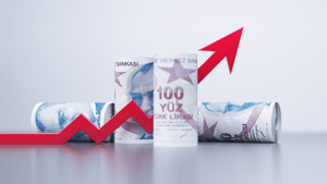 CNBC-e anketi: 2025'te ne kadar büyüme bekleniyor?