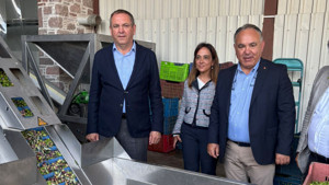 "Hasat sonrası zeytinyağı fiyatı yüzde 10 artabilir"