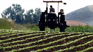 Tarım ÜFE'de 7 ayın en yüksek artışı