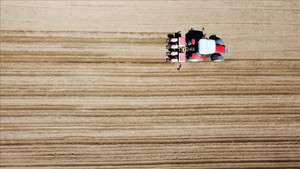 Savaşta korkutan gıda senaryosu: En çok bu ülkeler etkilenecek