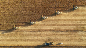 FAO'dan harekete geçme çağrısı: "Açlık füzelerden daha ekonomik bir silah"
