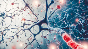 Anthropic'ten yeni atak: Sinirbilimden ilham alan "fiziksel yapay zeka" geliyor