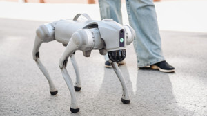Robot köpekleri gezdirene saatlik 20 dolar: Aşırı ısınırsa sırtlayıp taşıyacaklar