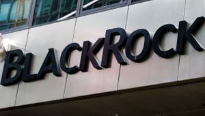 Blackrock'a göre hisse senetlerinde uzun vadeli kazanç hala mümkün