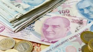 Türkiye'de döviz mevduatı oranı en yüksek iller