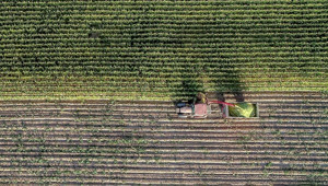 ABD'de çiftçilere 12 milyar dolarlık destek paketi