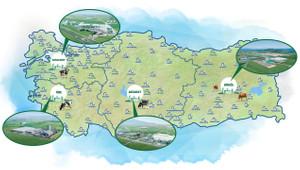 50. yılını kutlayan Sütaş 2025'te 70 milyon dolar yatırım hedefliyor