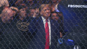 Trump 250. yılı ‘Amerikan tarzı’ kutlamak istiyor: Beyaz Saray'da UFC dövüşü yapacağız