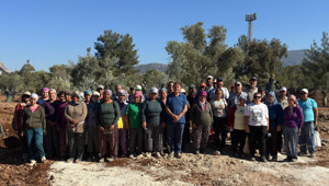 Bölge halkı taşınan zeytinleri yerinde gördü