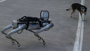 Türk start-up’tan milli robot köpek: 2026 başında göreve hazır olacak