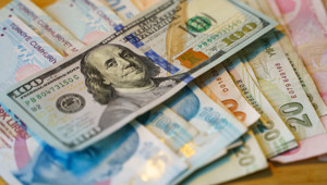 Merkez Bankası döviz kurları (29 Ocak 2026)