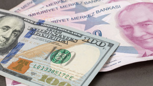 Merkez Bankası döviz kurları (24 Şubat 2026)