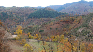 Türk Altın, İvrindi’deki maden ruhsatını devralmak için anlaşma imzaladı