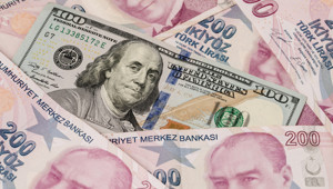 Merkez Bankası güncel döviz kurları (2 Haziran 2026)