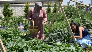 Bu çiftlikte para geçmiyor! Tarlada çalışan ücretsiz konaklıyor
