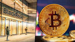 BlackRock'tan Bitcoin için detaylı analiz: "Piyasadaki köpük temizlendi"