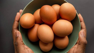 Salmonella salgını büyüyor! 8 ülkeye yayıldı, 306 kişi hastalandı