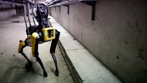 ABD’de göç operasyonlarına robot köpek desteği! Milyon dolarlık plan ortaya çıktı