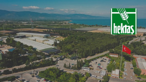 Hektaş'tan KAP'a yeni bildirim: SPK'dan istenen talepten vazgeçildi, öncelik sermaye artırımında