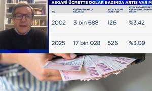 Erinç Yeldan: Asgari ücrette dolar bazlı kıyaslama doğru değil