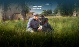 CNBC-e film kuşağı