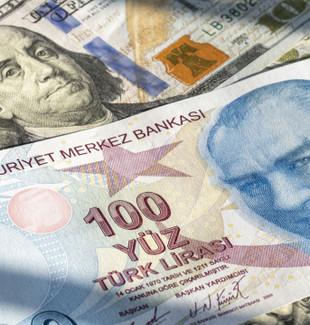 Merkez Bankası döviz kurları (19 Kasım 2024)