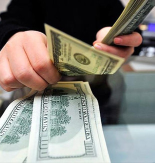 Yurt içi yerleşiklerin döviz mevduatı 200 milyar doları aştı