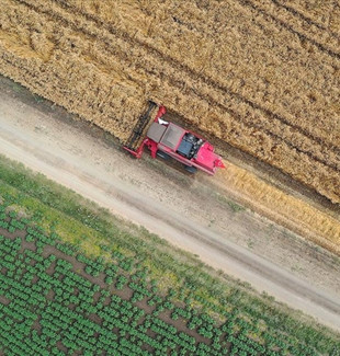 Tarım ÜFE 3 ayın en düşüğünde