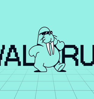 Walrus ana ağda yayında: WEB 3 için programlanabilir depolama dönemi başlıyor