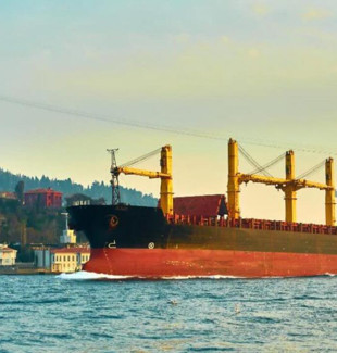 Baltık endeksinde 3 gündür devam eden yükseliş sona erdi