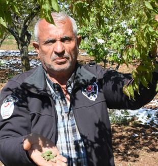 Don felaketinin boyutu: "13 milyon kayısı ağacında bir tane bile meyve kalmadı"
