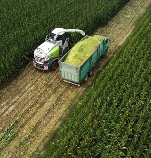 Tarımsal girdi fiyatları bir yılın zirvesinde