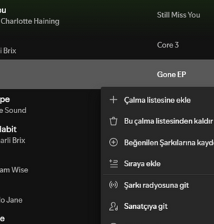 Bakan Yardımcısı'ndan Spotify'a 'playlist' tepkisi: Gerekli her adım atılacak