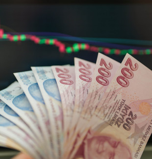 TÜİK açıkladı: Ekim ayında hangi yatırım aracı ne kazandırdı?