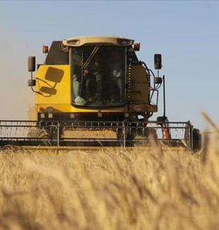 Dünya gıda fiyatları 5 ay sonra ilk kez yükseldi