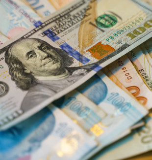 Merkez Bankası döviz kurları (29 Ocak 2026)