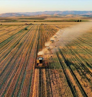 TARSİM’de devlet desteği netleşti: Don riskinde kapsam genişledi ama oranlar değişmedi