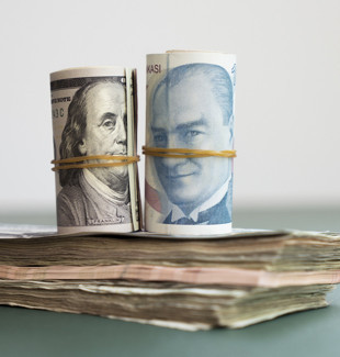 Merkez Bankası güncel döviz kurları (2 Temmuz 2026)