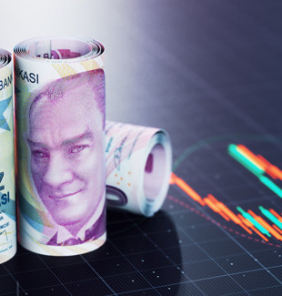 En çok kazandıran ve kaybettiren fonlar