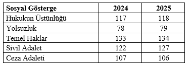 2025 nasıl ge&ccedil;ti? Dr. Mahfi Eğilmez yazdı - Resim : 7