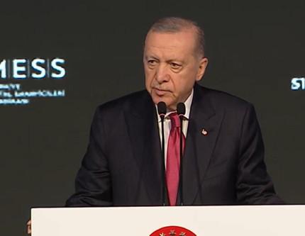 Erdoğan: Enflasyon dizginlenmeye başladı ancak düşüş yeterli değil