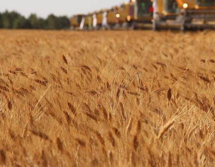 OECD: Tarım sektörü çok sayıda zorlukla karşı karşıya