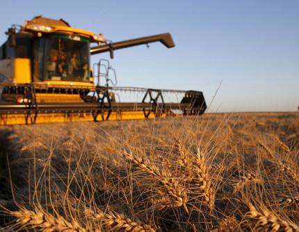 FAO: Küresel Gıda Fiyat Endeksi ekimde son 18 ayın en yüksek seviyesine çıktı